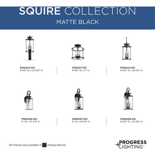 Squire 1 Light 15 inch Matte Black Outdoor Wall Lantern in Black and Stainless Steel, Small